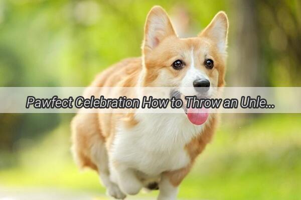 Pawfect Celebration How to Throw an Unleashed Wedding for Your Furry BFF